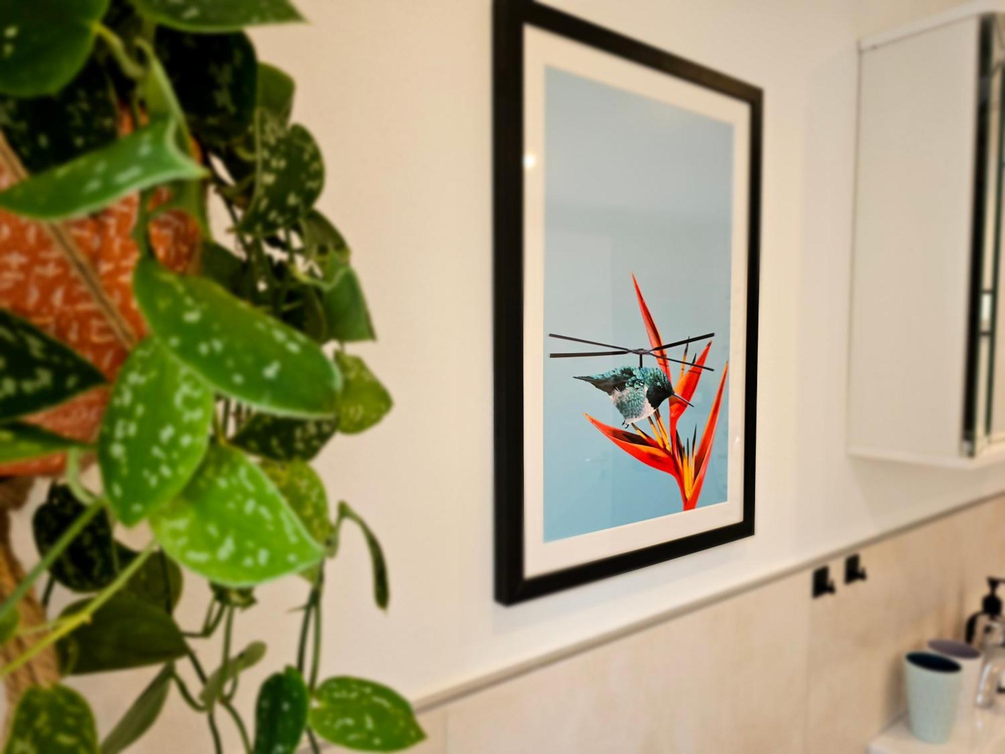 Kolibri - Design Maisonette - Nintendo Switch, Streaming, Bikestore, E-Wallbox Marburg المظهر الخارجي الصورة