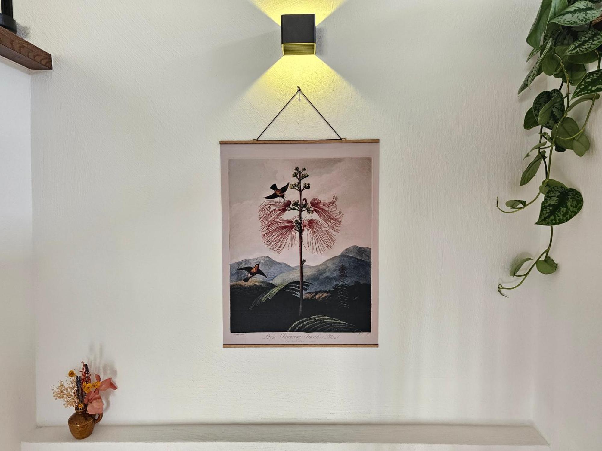 Kolibri - Design Maisonette - Nintendo Switch, Streaming, Bikestore, E-Wallbox Marburg المظهر الخارجي الصورة